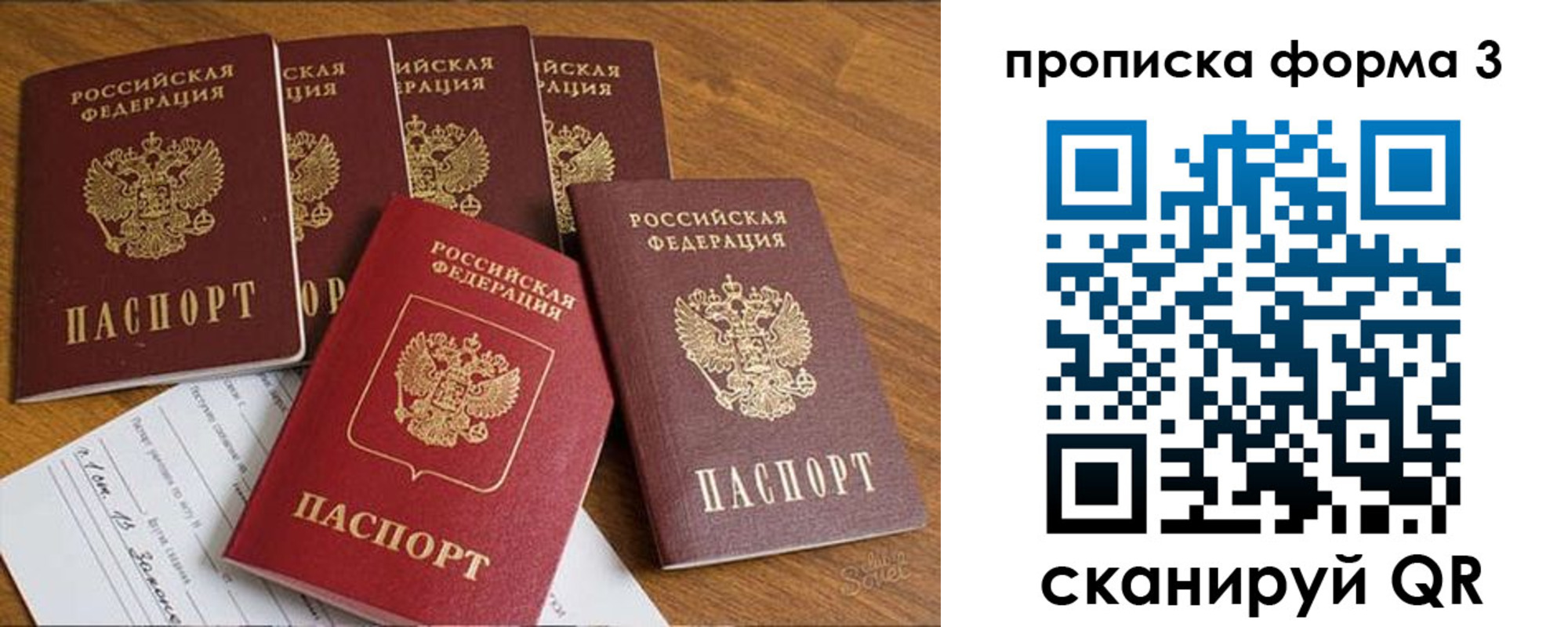 прописка 2025 в Дмитрове