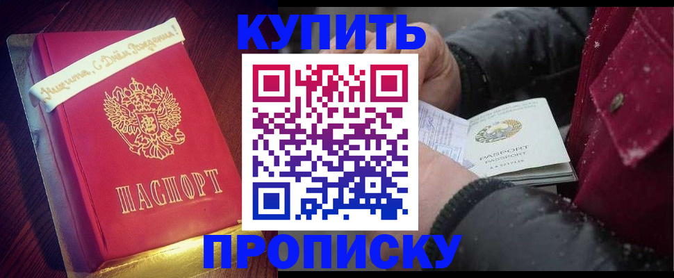 прописка гарантия в Дмитрове